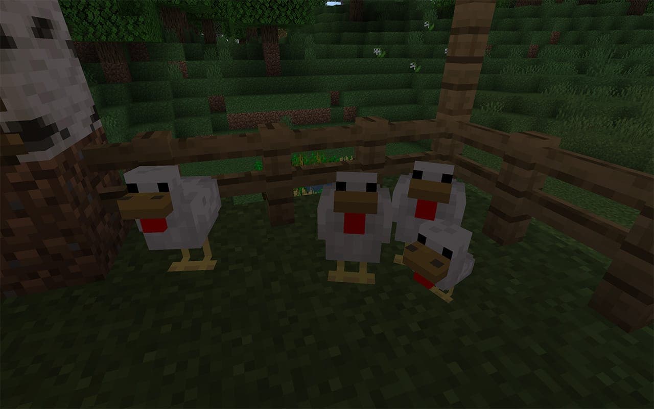 Screenshot showing tame a chicken in minecraft in Minecraft