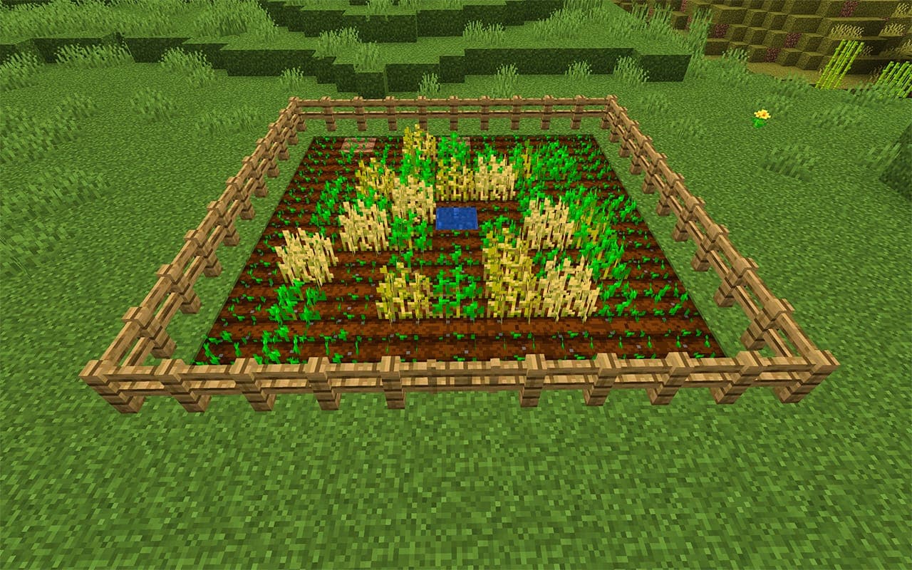 Screenshot showing grow wheat in minecraft in Minecraft