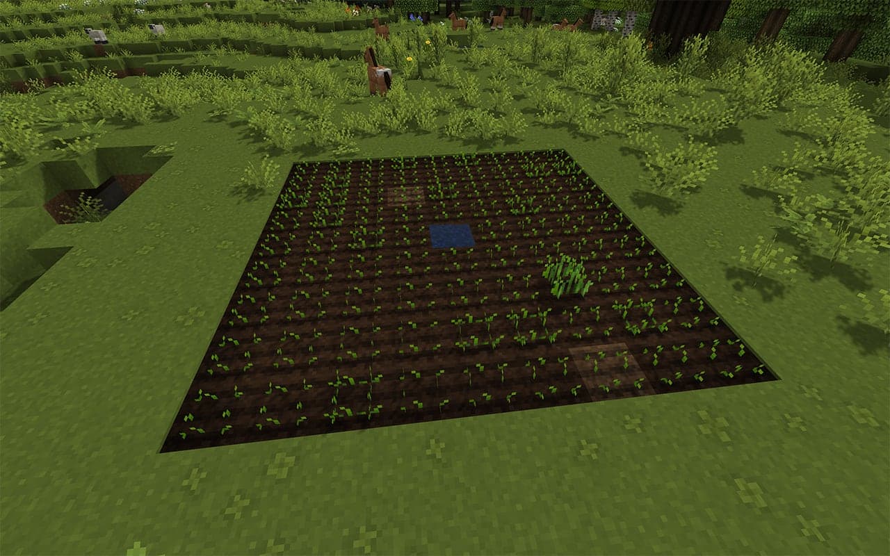 Screenshot showing start a farm in minecraft in Minecraft