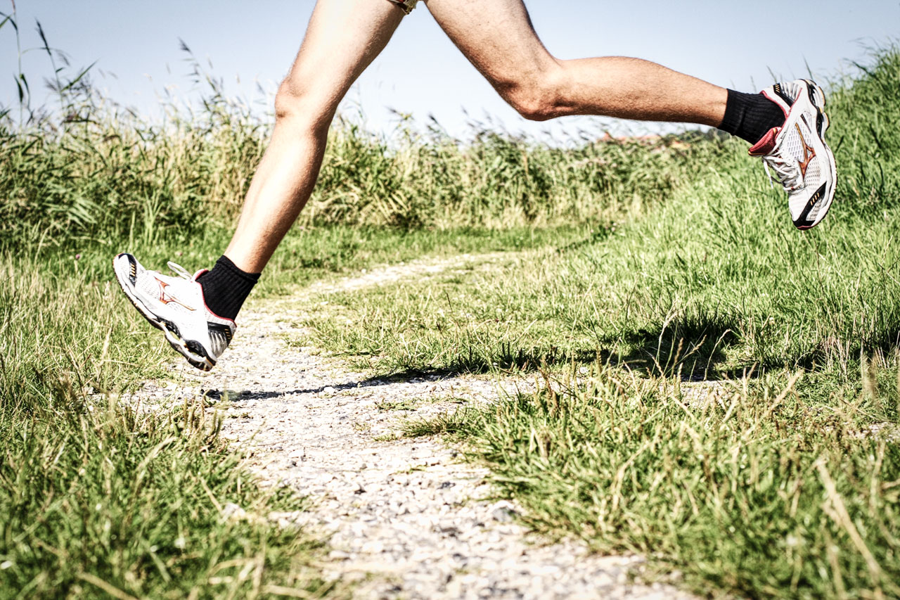 Running Shoes on the Trail