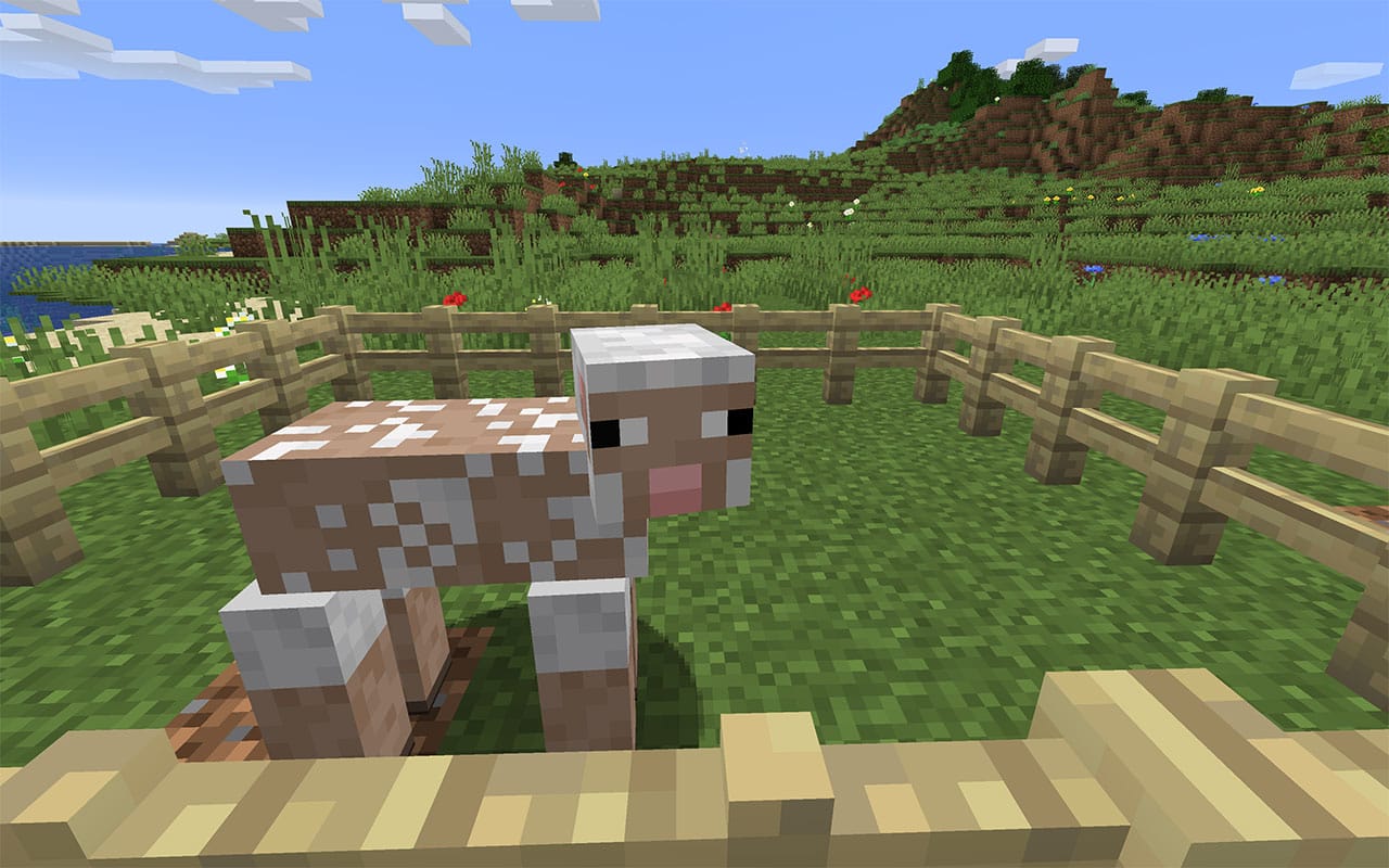 Shorn Sheep in Minecraft