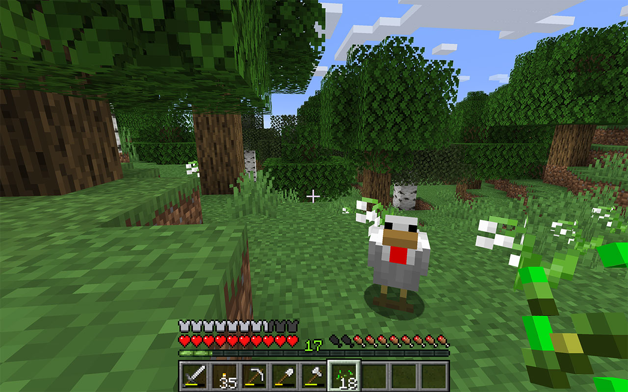 Tame a Chicken in Minecraft