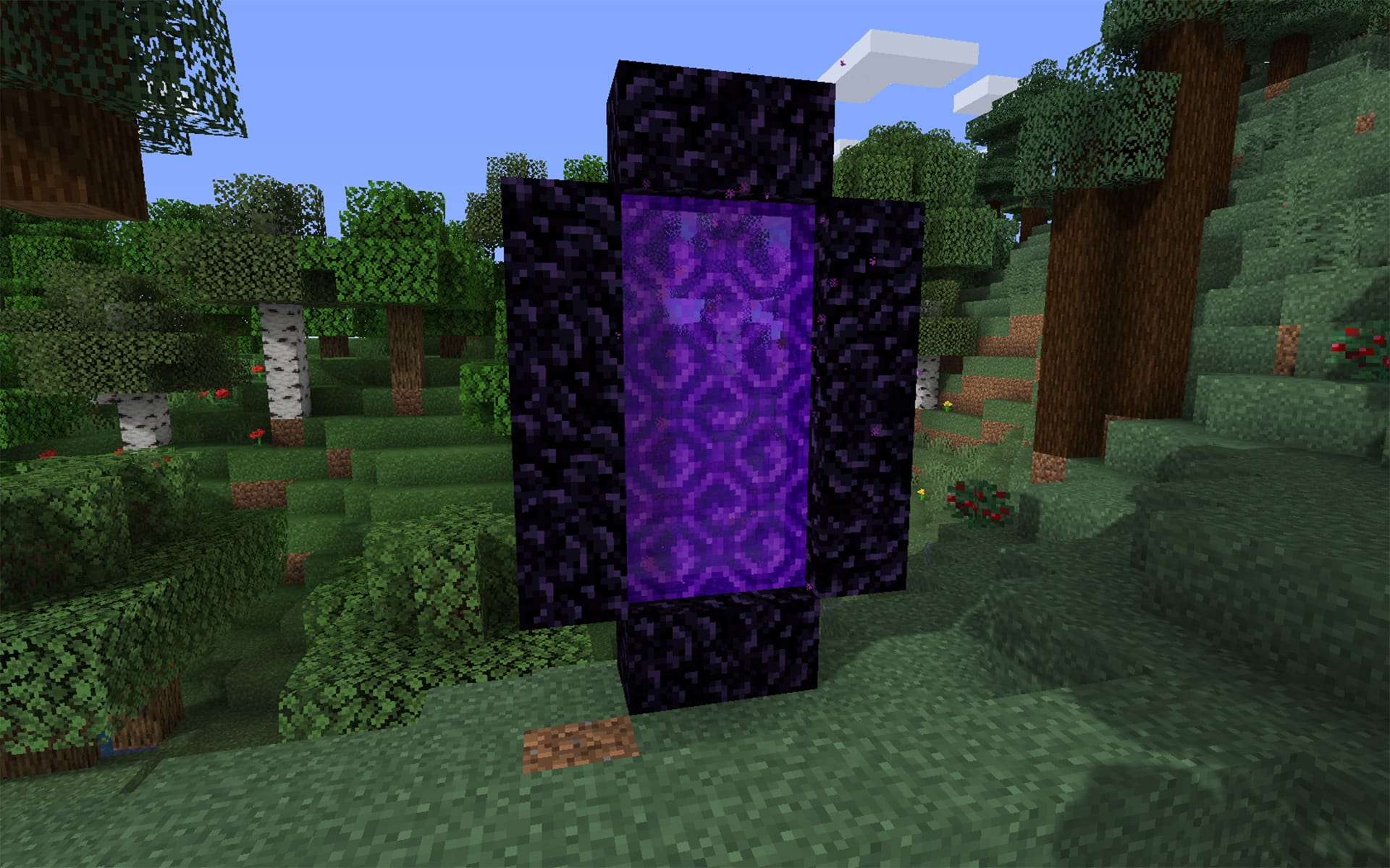 Active Nether Portal in Minecraft