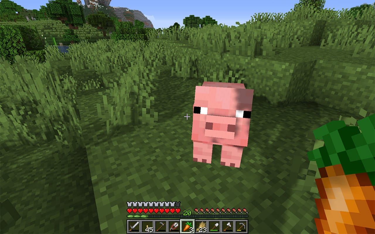 Here, Piggie Piggie