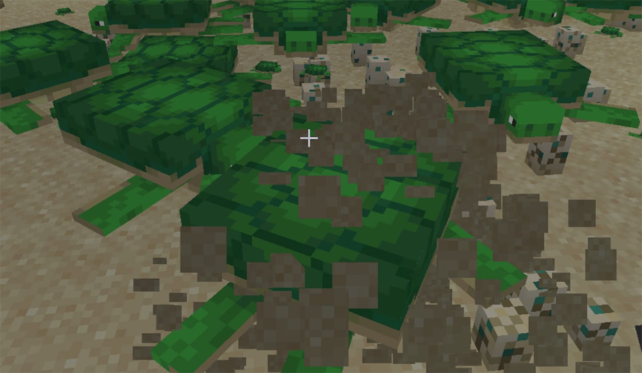 Turtle Farm in Minecraft