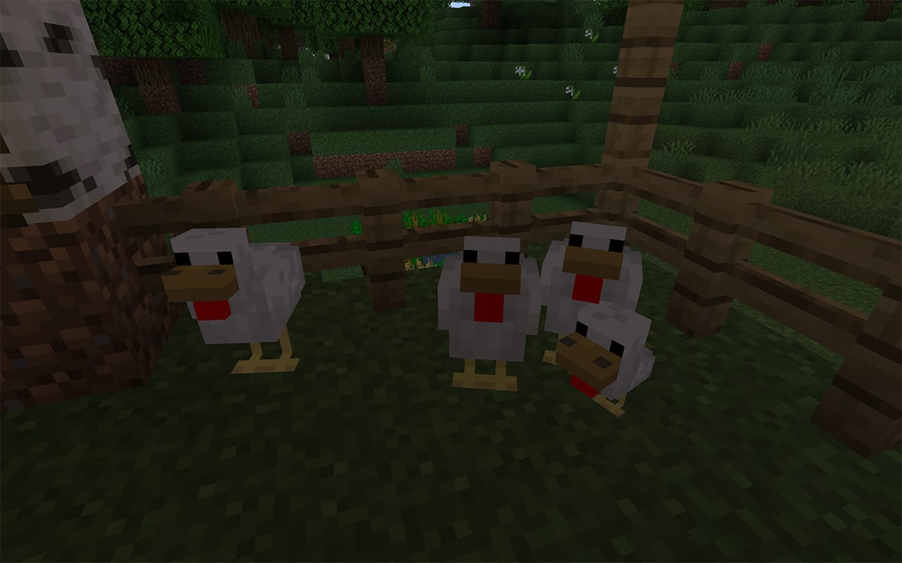 pet chicken minecraft