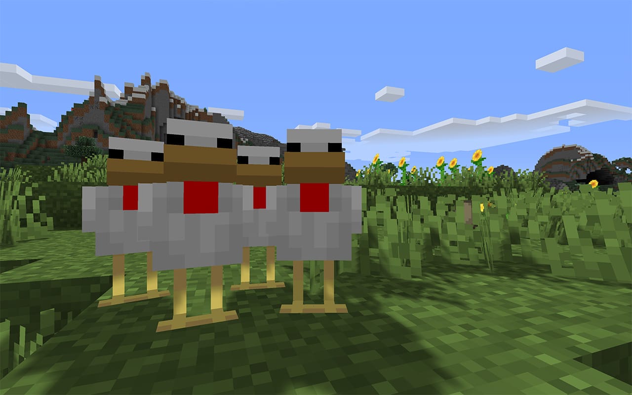 pet chicken minecraft