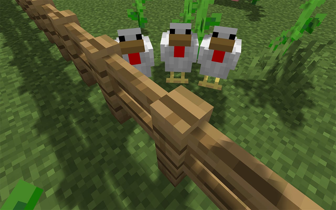 Three Little Chickens in Minecraft