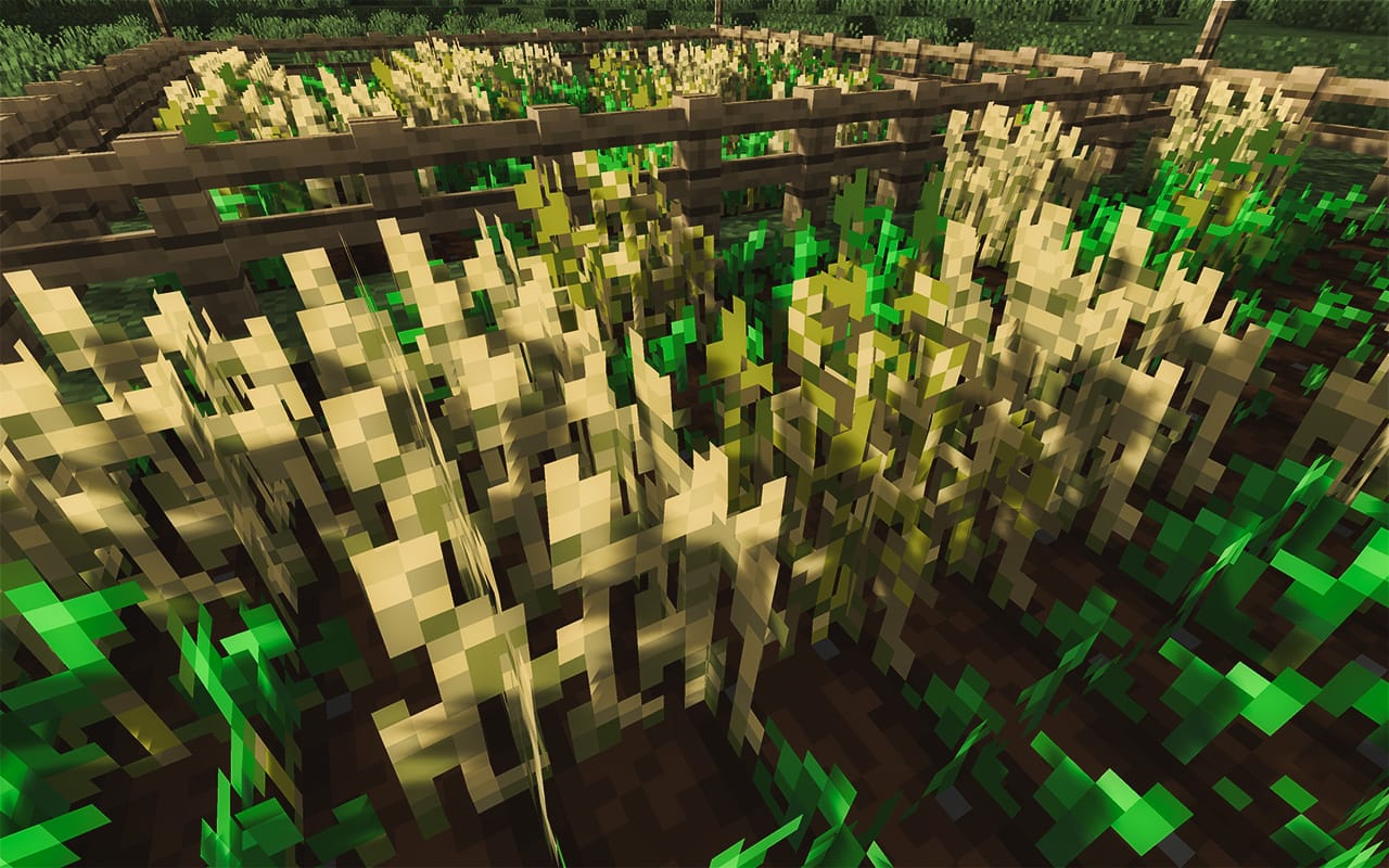 wheat seeds minecraft