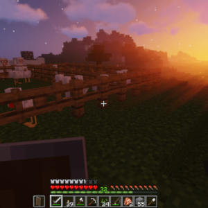 Sunset over a Chicken Farm