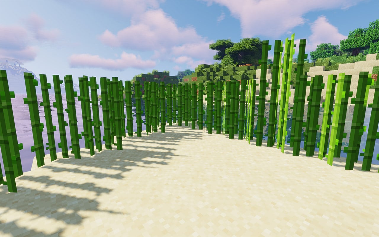 Minecraft Sugar Cane plants