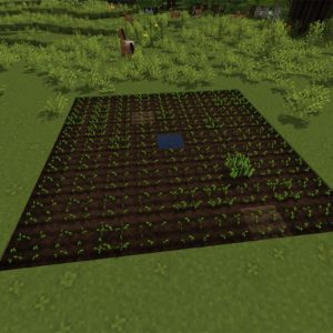 Minecraft 9x9 wheat farm