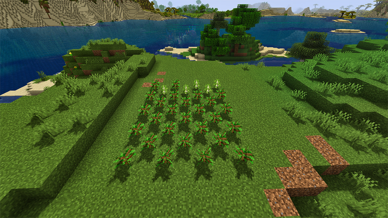 Minecraft Tree Farm - Saplings
