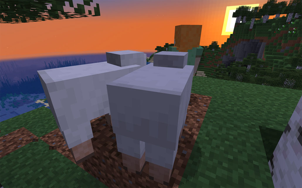 Enjoying a sunset in Minecraft with sheep.