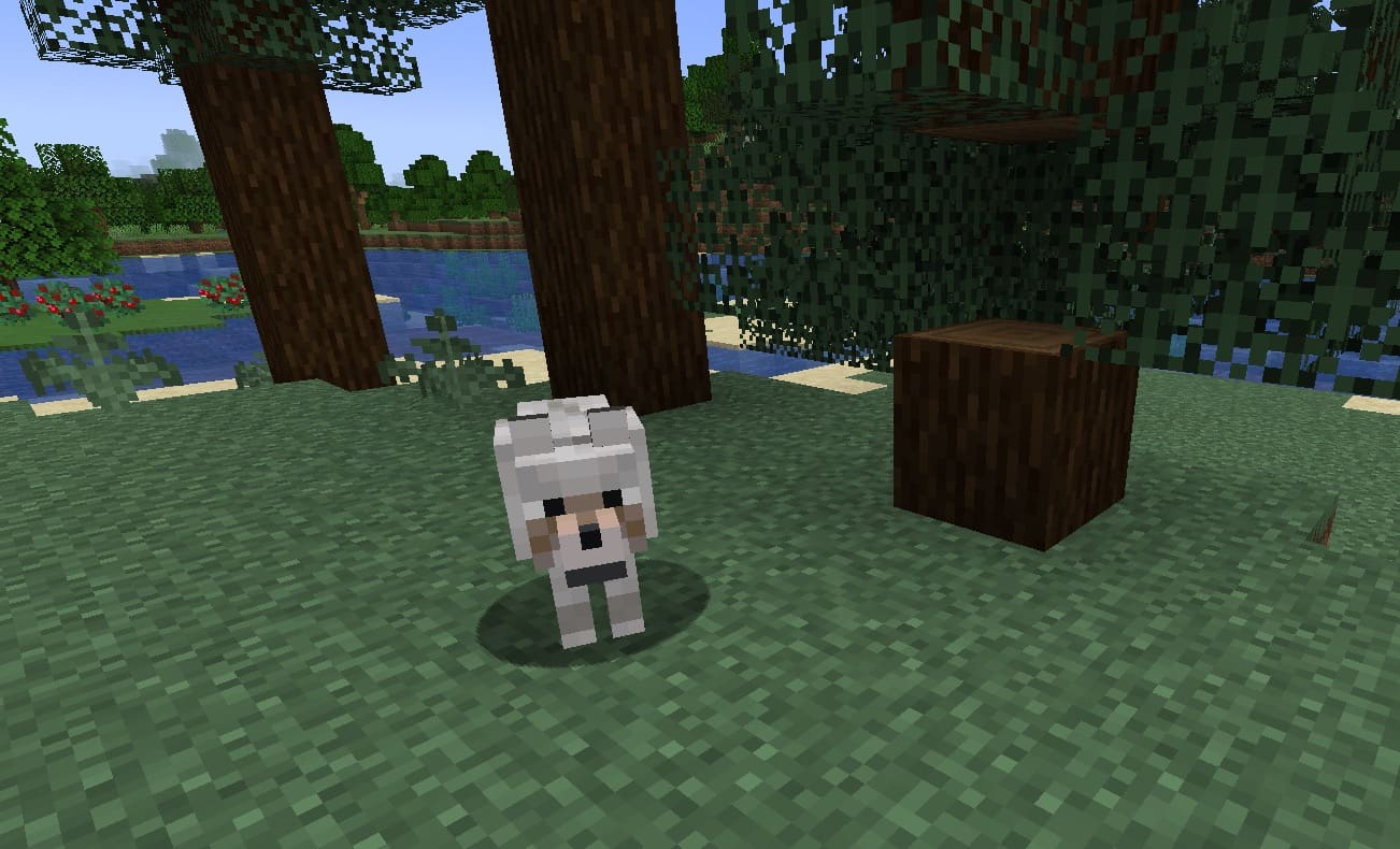 Minecraft wolf in woods