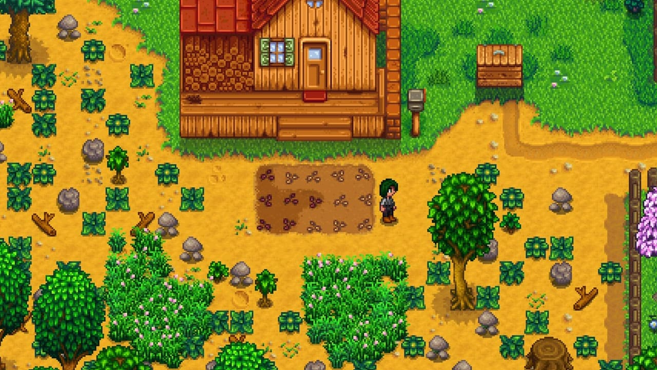 Planting Parsnip seeds in a 3x5 grid